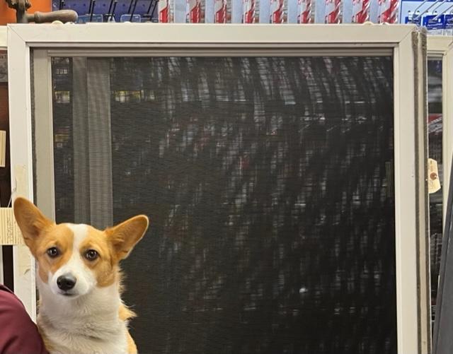 Screen Repair